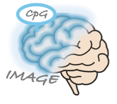 IMAGE-CpG2