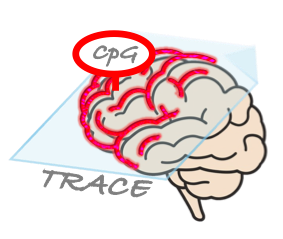 TRACE-CpG